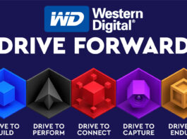 Western Digital Differenza Colori WD Blue Black Red Purple Gold