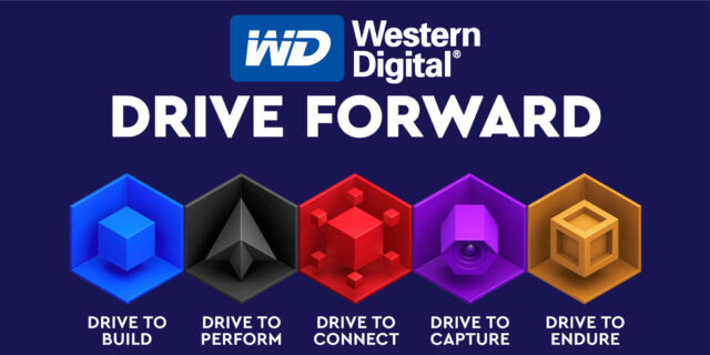 Western Digital Differenza Colori WD Blue Black Red Purple Gold